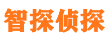 云浮市私家侦探